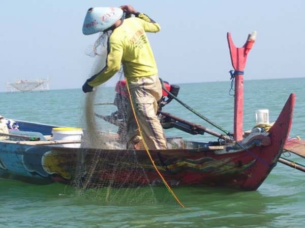 Petani Nelayan dan Peternak adalah Usaha-Usaha yang Menghasilkan?