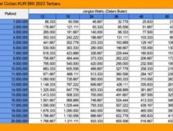 5 Daftar Pinjaman Bank BRI Terbaru